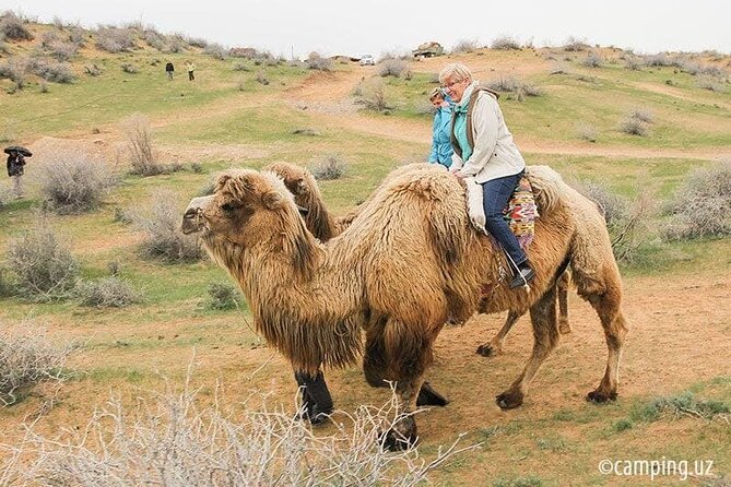 2 Days of Tour in Yurt Camp and Aydarkul - Day two adds a caravanserai and Gijduvan pottery