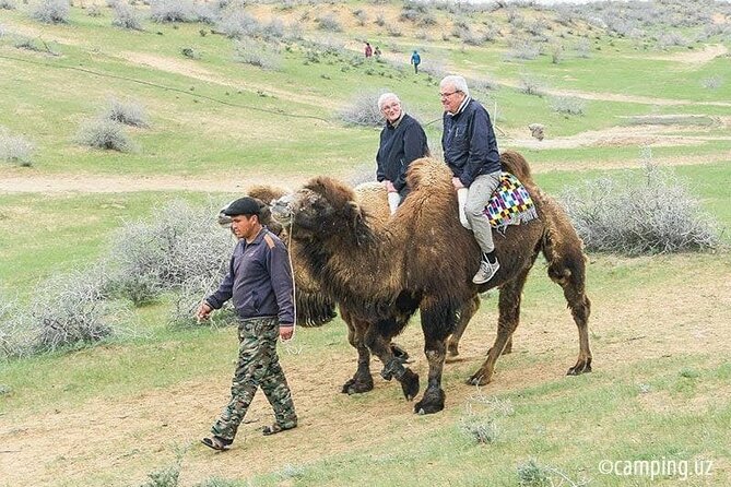2 Days of Tour in Yurt Camp and Aydarkul - Is $190 per person a fair price?