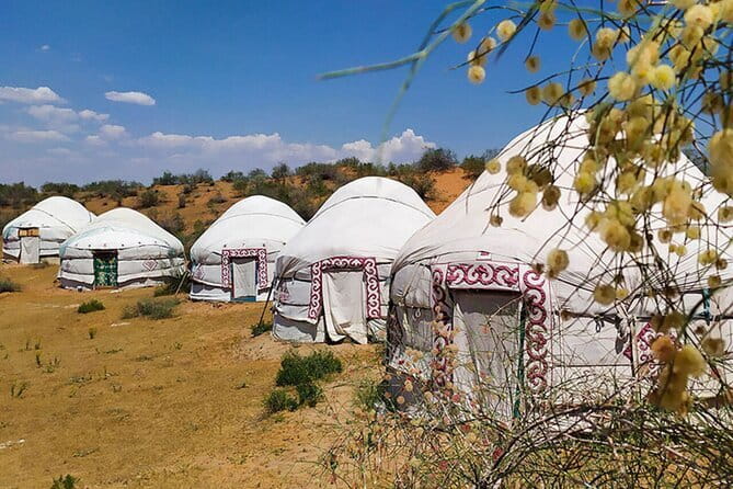 2 Days Private Safari Tour from Bukhara - Aydarkul Lake, picnic, and seasonal swimming