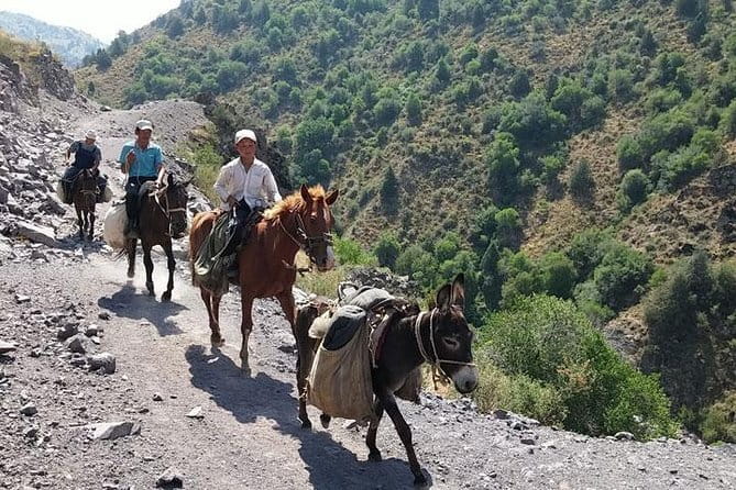 3-Day Chimgan Trekking Tour - From Tashkent to the Chimgan mountains
