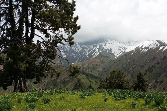 3-Day Chimgan Trekking Tour - Petroglyphs, river valleys, and the walk out