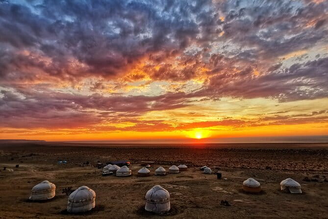 Aral Sea Adventures (2 day) - Why this Aral Sea trip is worth the long road