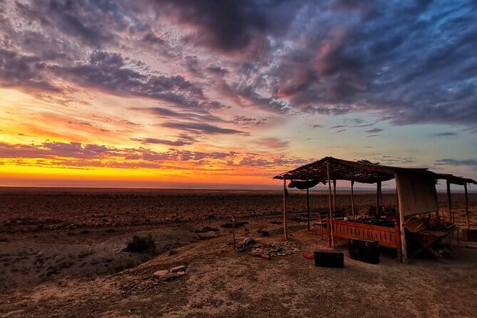 Aral Sea Adventures (2 day) - The Savitsky Museum changes the mood