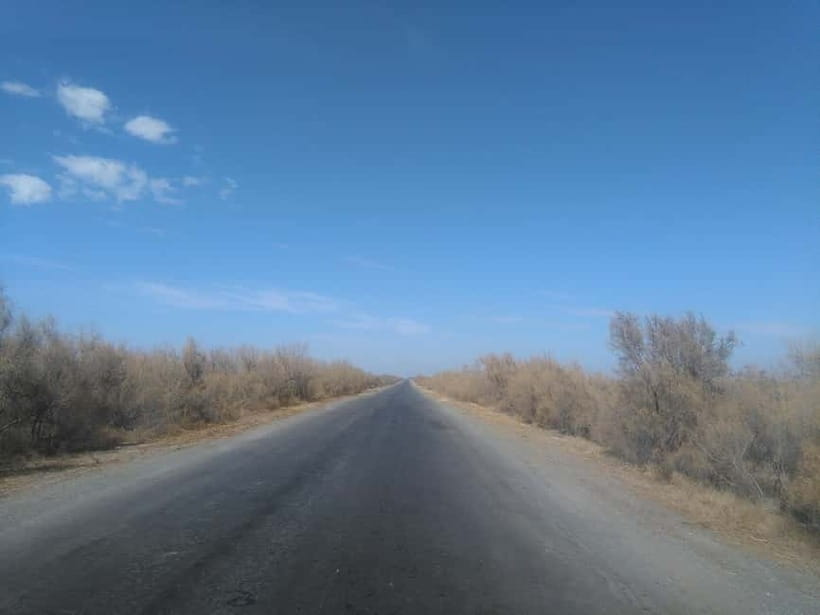 Aral Sea One Day Trip from Nukus. - Who should book this day trip?