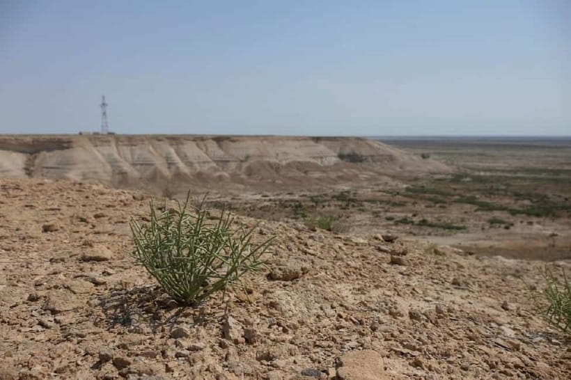 Aral Sea Tour from Nukus 1 night / 2 days - Day two through Kurgancha Kala and Sudochie Lake