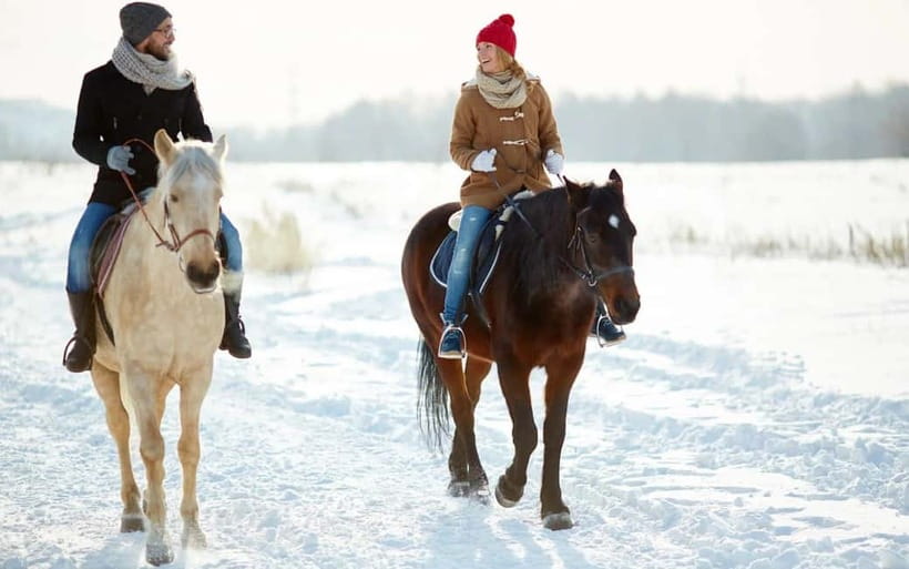 Best of Tashkent Mountains: Amirsoy, Chimgan & Charvak Trip - Key points to know before you book