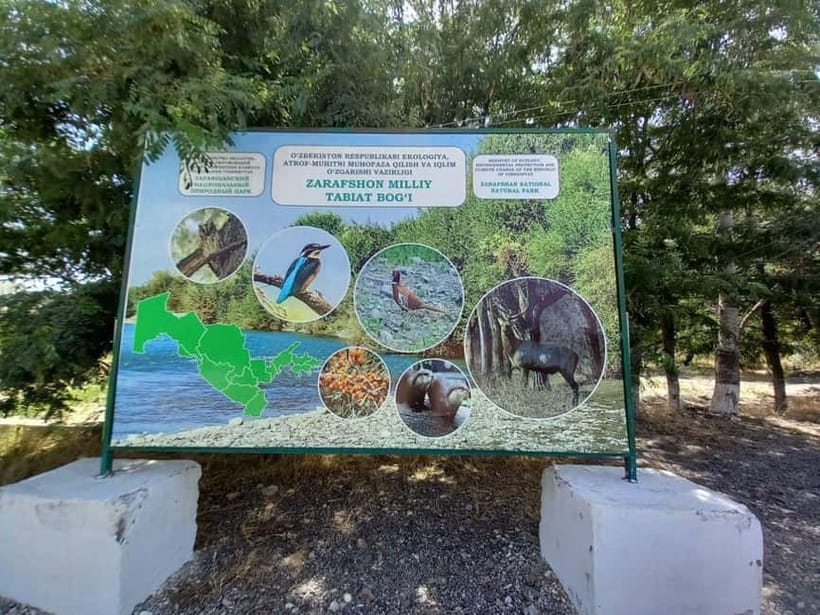 Bird Watching Tours in Samarkand - Key points for choosing this birding day
