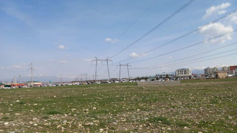 Bird Watching Tours in Samarkand - Should you book the Samarkand bird tour?