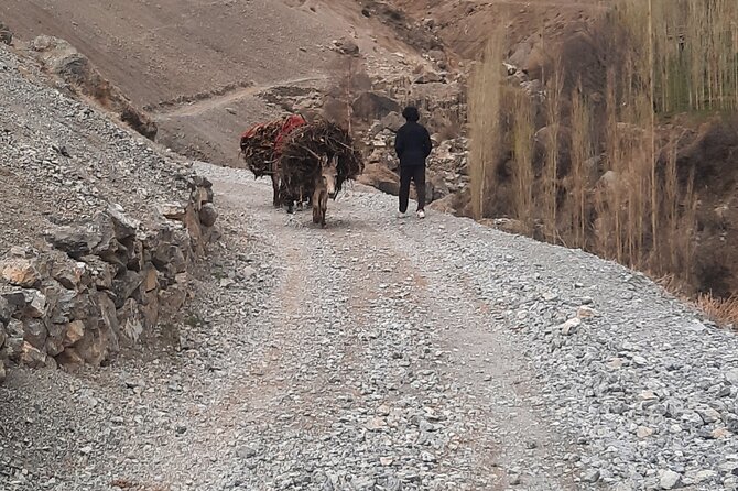 Day Tour from Samarkand Explore Panjakent and Seven Lakes - From Samarkand to the Tajik border