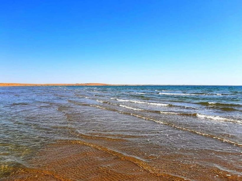Desert Adventure from Samarkand: Yurt Camp & Aydarkul Escape - Key points to know before booking