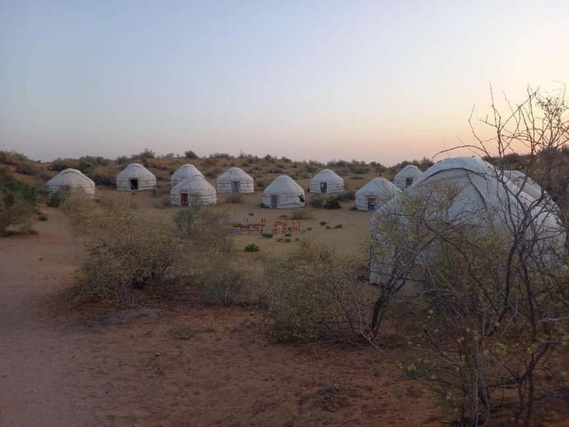 Desert Adventure from Samarkand: Yurt Camp & Aydarkul Escape - Aydarkul Lake gives the desert a cool pause