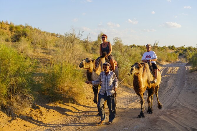 Desert Yurt Camp tour - 2 days (shared) - Firelight, local music, and the night sky