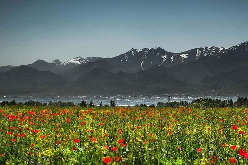 From Samarkand: Shahrisabz Day Trip & Mountain Pass Tour - Who will get the most from this tour