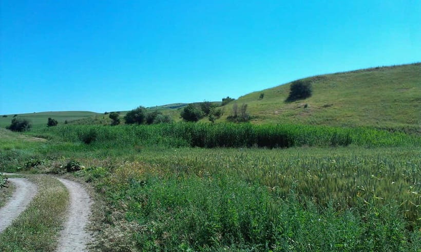 From Tashkent: Chimgan Valley Hiking Day Trip - Why Chimgan Makes a Good Break from Tashkent