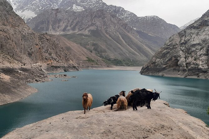 Full Day Private Tour in Seven Lakes from Samarkand - Hazorchashma and the optional hike