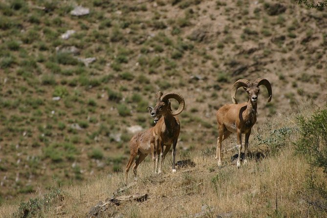 Hiking tour to Hayat, Uhum and Asraf villages – 4 days - Who will enjoy this trip most