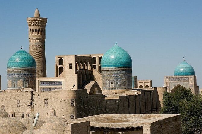 Khorezm Fortress and KyzylKum Desert Private Tour - Who will get the most from this trip