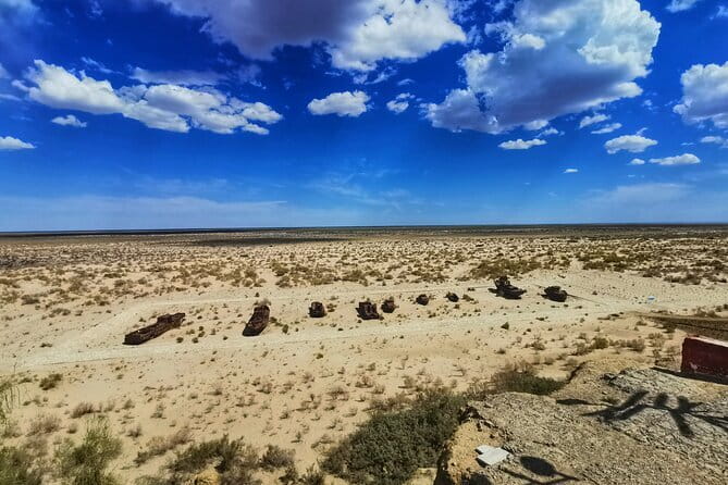 Private Daytrip to Muynak and Nukus - The ships stranded in the desert