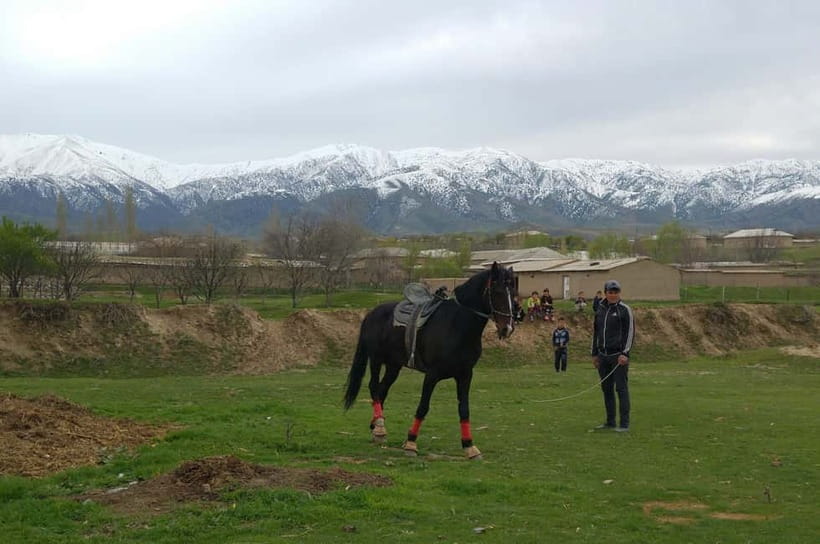 Samarkand: Uloq-Kopkari (Buzkashi) Game Day Tour - The 8-hour route from Samarkand