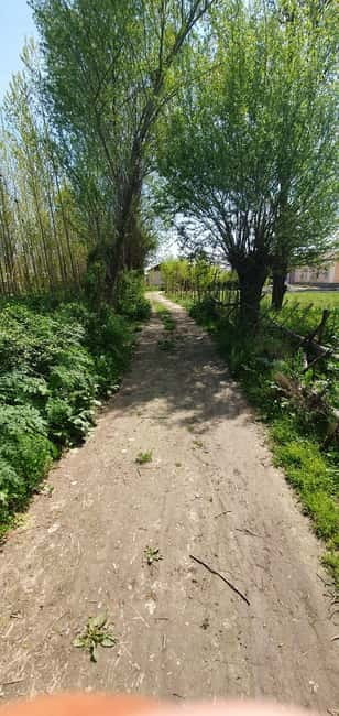 Samarkand: Village Tour with Plov Cooking Class & Home Visit - Key points to know before you book