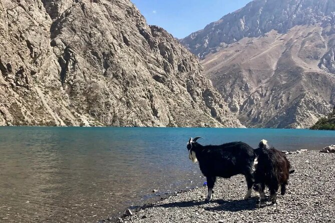 Seven Lakes Panjakent: One-Day Adventure from Samarkand - Who will enjoy this day most?