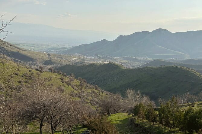 Shakhrisabz Private Day Tour from Samarkand - Ak-Saray Palace and the scale of Amir Timur’s ambition
