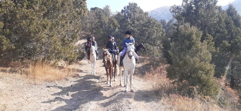 Tashkent: 3-Day Horseback Riding Tour in Chimgan Mountains - Key points at a glance