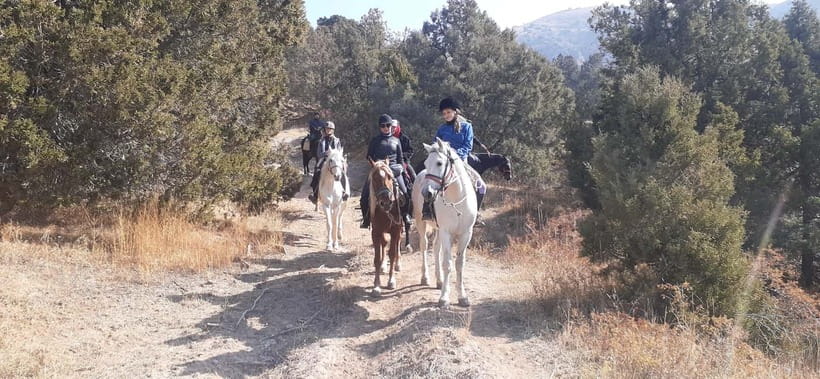 Tashkent: 3-Day Horseback Riding Tour in Chimgan Mountains - What kind of horse tour is this?