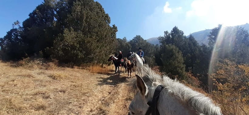 Tashkent: 3-Day Horseback Riding Tour in Chimgan Mountains - Day two: rivers, forest, and Chet Kumbel Pass