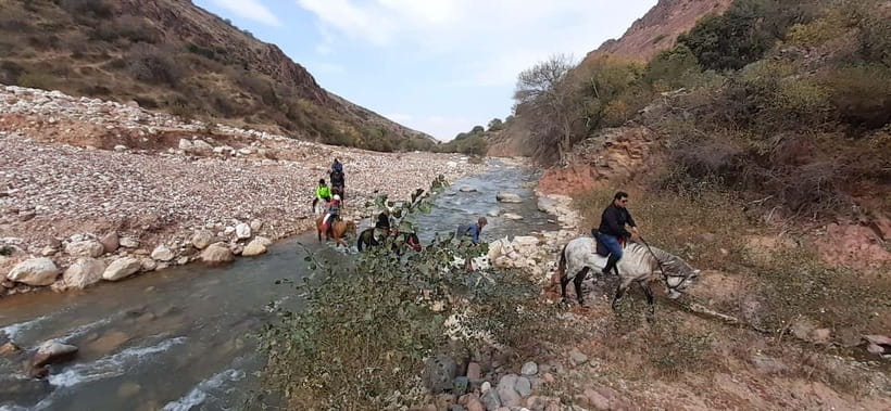 Tashkent: 3-Day Horseback Riding Tour in Chimgan Mountains - The horses, guide, cook, and camp setup