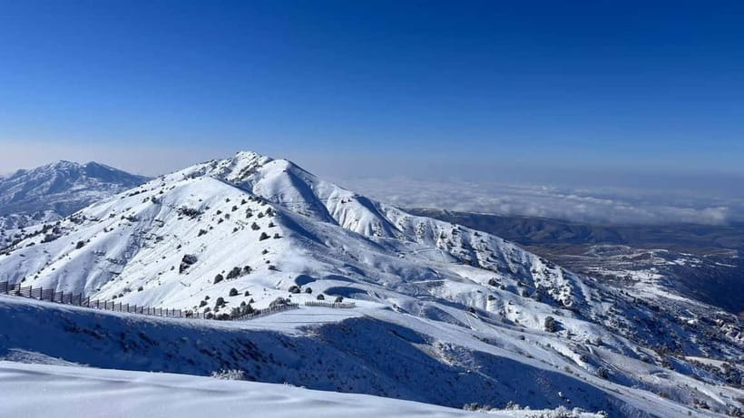 Tashkent Mountain Tour - The practical rhythm of the day