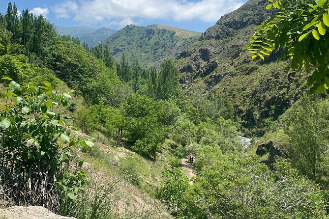 Tashkent Tour at Amirsoy, Chimgan Mountains and Charvak lake - Who will enjoy this tour most