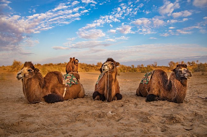 Transfer from Khiva to Bukhara by Fortresses - Making sense of the history in one day